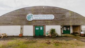 Planning a Visit to Liberty's Owl Raptor and Reptile Centre