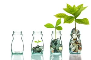 Differences Between Conventional and Sharia Mutual Fund Investments for Your Financial Goals