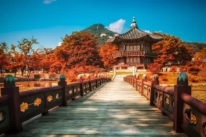 Tourist Attractions in South Korea that Offer Natural Beauty & History