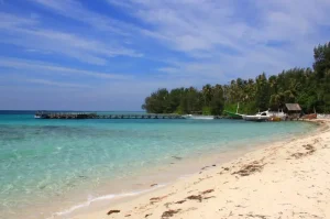Amazing Marine Tourism in Bali for a Tropical Vacation Experience